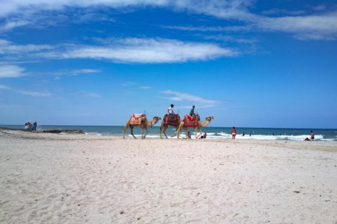Djerba - Tunísia  8 dias | 7 noites (11 a 19 de julho)