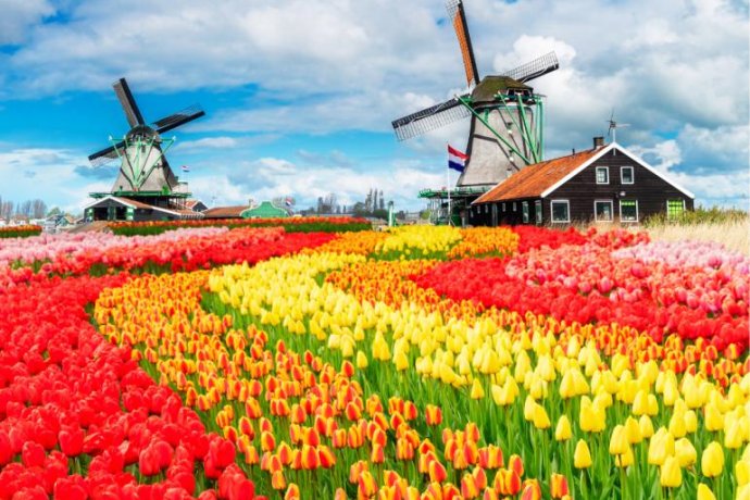 Países Baixos em Flor