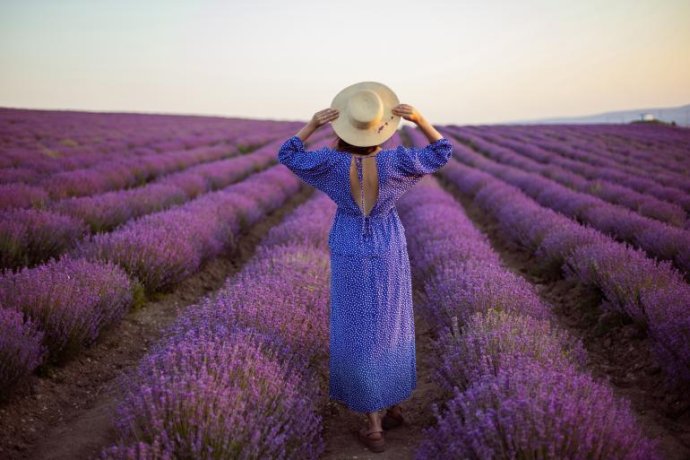 Provença - Entre Campos de Lavanda e Vilas Medievais - 4 DIAS | 3 NOITES