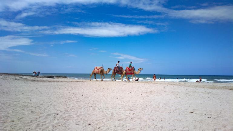Djerba - Tunísia  8 dias | 7 noites (11 a 19 de julho)