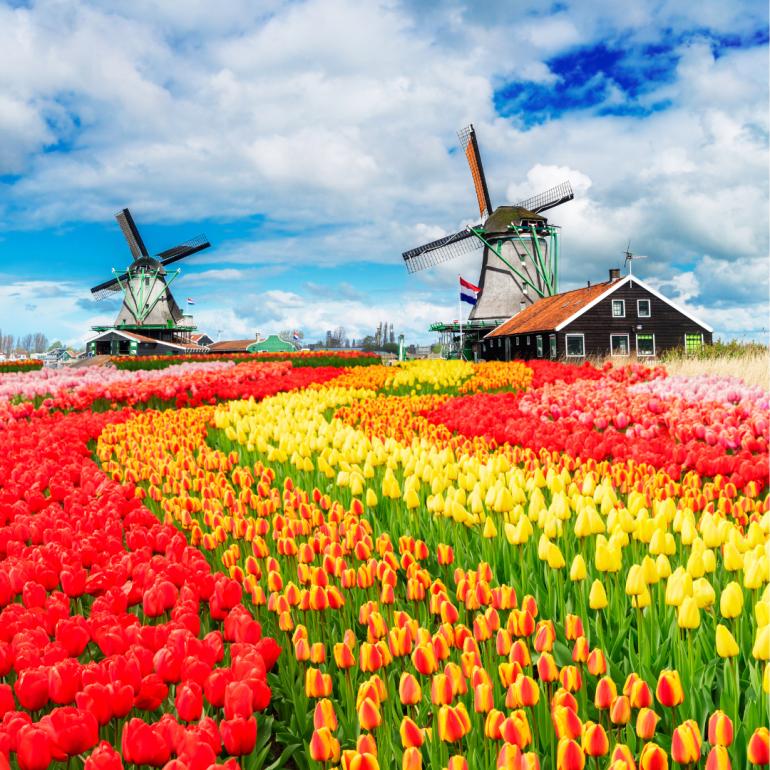 Países Baixos em Flor